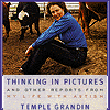 Thinking in Pictures
